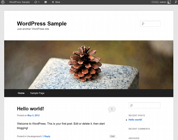 wordpress website