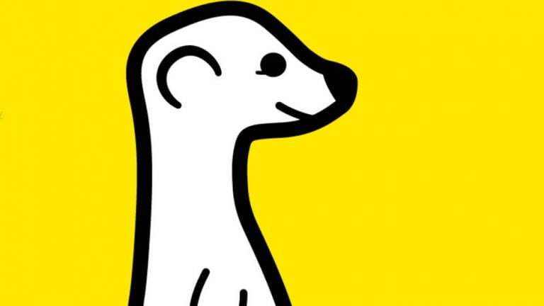 meerkat live video streaming